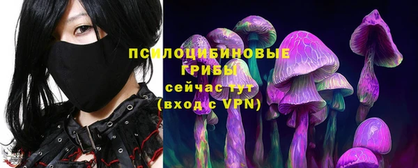 Альфа ПВП Арсеньев
