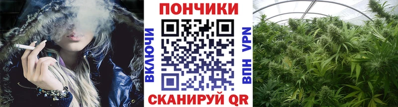Канабис конопля  Гдов 
